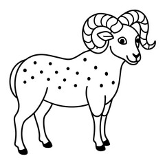 illustration of a sheep
