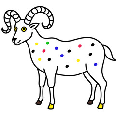 illustration of a sheep
