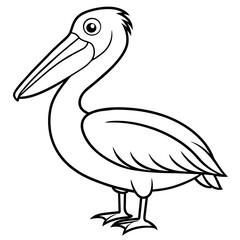 Majestic Pelican: A Vector Illustration