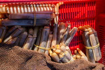 Fresh Ensis In The Street Market In The Port.