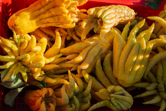 Buddha Hand Lemon Citric.