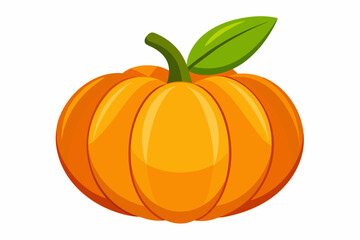 pumpkin-white-background--vector-illustration