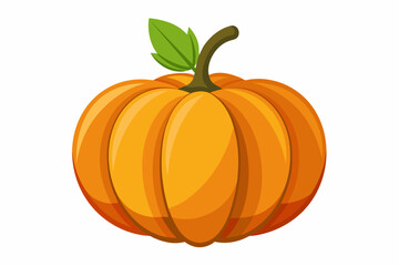 pumpkin-white-background--vector-illustration