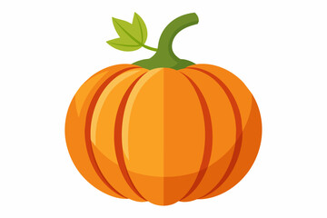 pumpkin-white-background--vector-illustration
