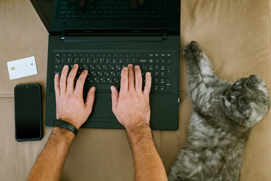 A man does online shopping for his kitten