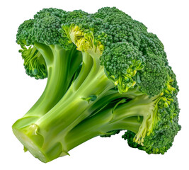 A large head of broccoli with green leaves, cut out - stock png.