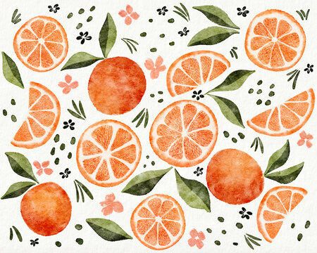 Orange fruit illustration 