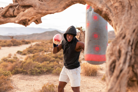 a young boxer trains in a desert