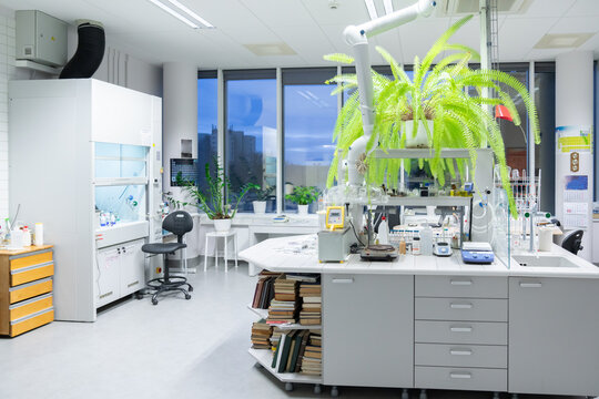 Catalysis Lab Room
