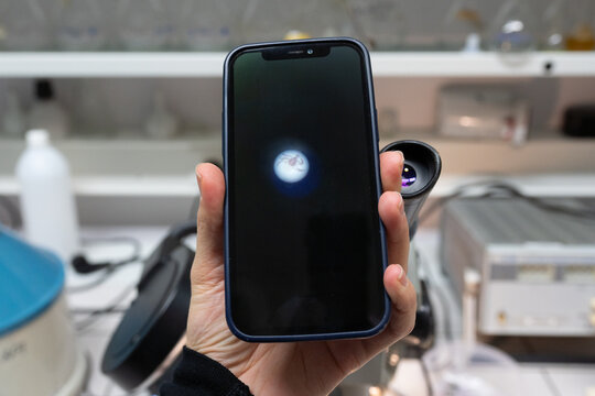 Hand Holding Smartphone With Photo Of Insect In The Lab