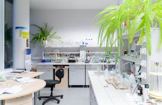 Catalysis Lab Room