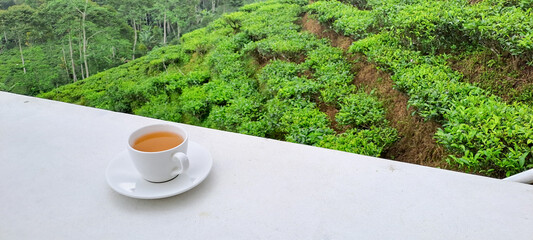 Cup of hot tea on the white table and the tea plantations background	
