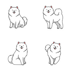 Cute Samoyed dog cartoon illustration 