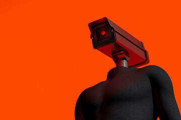 Privacy Control Through Video Surveillance