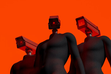 Privacy Control Through Video Surveillance