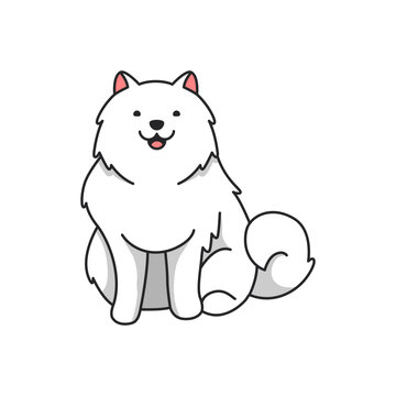 Cute Samoyed dog cartoon illustration 