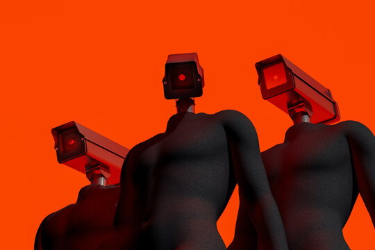 Privacy Control Through Video Surveillance