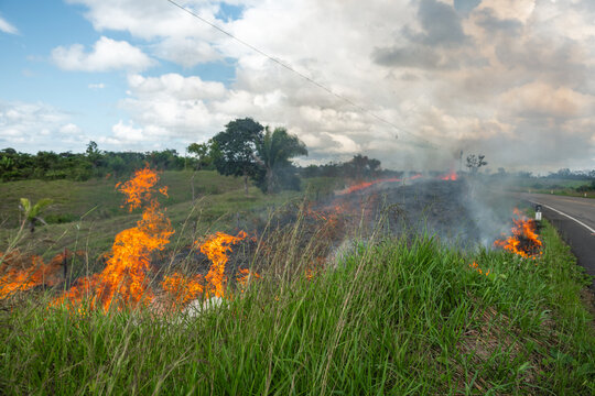 Fire in the Amazon Forest