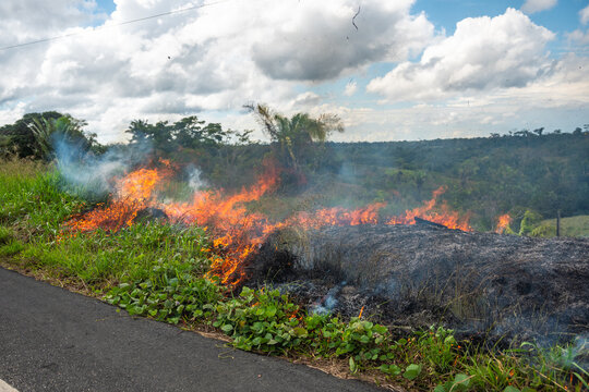 Fire in the Amazon Forest