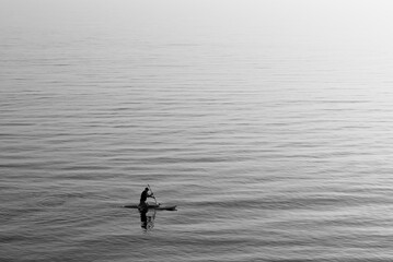 Silhouette of man paddle boarding