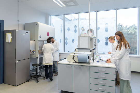 Many Researchers Working In Bright Lab Room