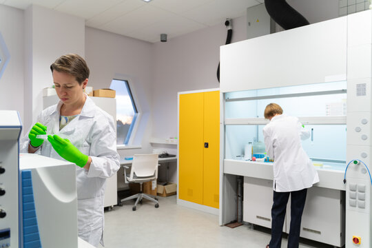 Scientists Working In Laboratory