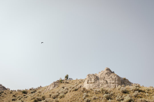 Ravens flying over dry desert landscape.
