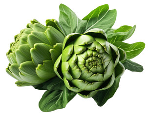 Obraz premium Fresh and Healthy Artichoke Isolated on Transparent Background - Healthy Food Vegetable Concept, Organic and Nutritious Ingredient for Culinary and Vegetarian Cuisine