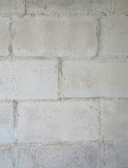 background from a white brick wall.