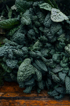 Fresh kale leaves