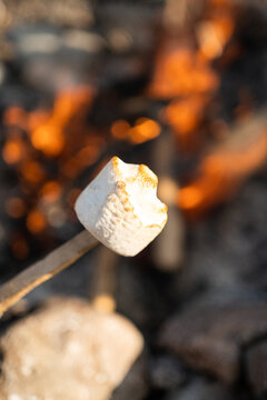 roasted marshmallow