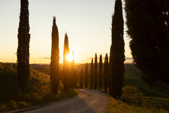 Sunset in Tuscany - Powered by Adobe