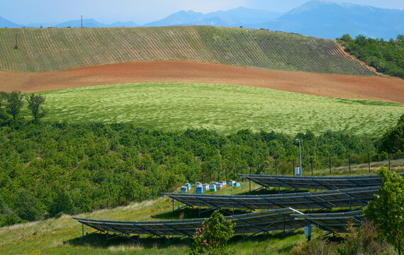 Sustainability - bee hives, solar farm and mixed agriculture, dual use
