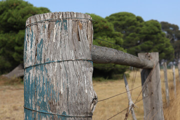 old fence post in field