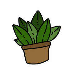 cute cactus plant pot on white
