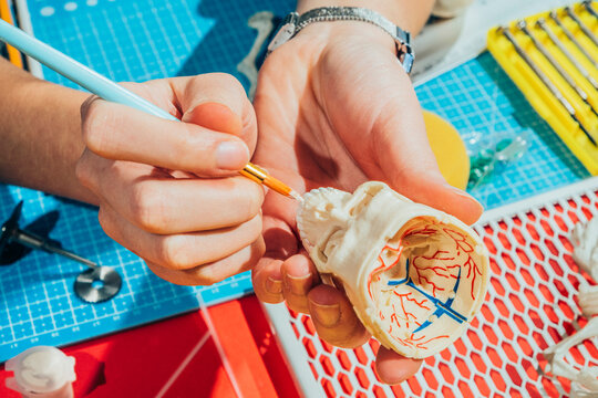 Craftswoman painting miniature toy.