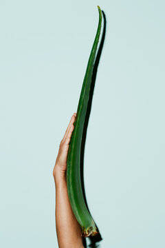 man with a leaf of aloe vera