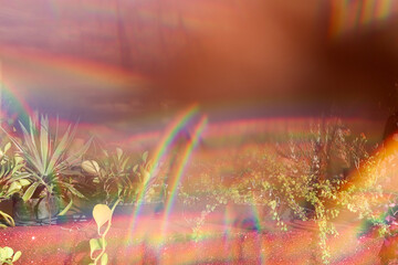 Tropical potted plants on terracotta wall with rainbow light effects