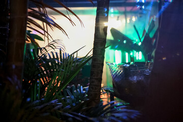 Corner of party with tropical plants, cool colors and bottles on ice