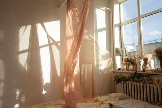The studio in the sunlight 