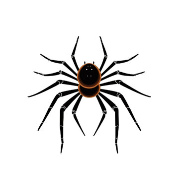 a halloween simple spider minimalistic, Isolated on transparent PNG background, Generative ai