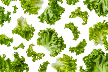 A close up of many pieces of lettuce - stock png. - obrazy, fototapety, plakaty