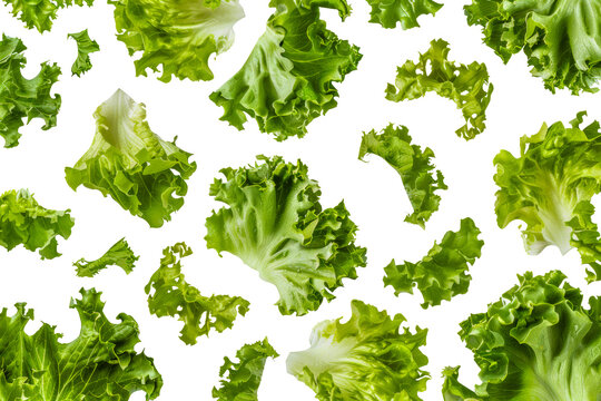 A close up of many pieces of lettuce - stock png.