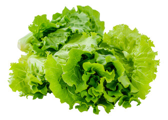 A bunch of green lettuce leaves, cut out - stock png.