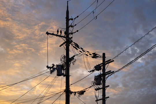 Twilight Tangle of Power Lines