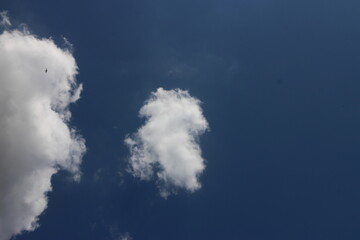 Blue sky with white cloud. Blue background. The summer sky is colorful clearing day and beautiful nature in the morning. for backdrop decorative and wallpaper design. The perfect sky background.