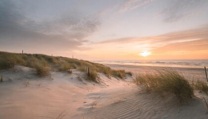 Fototapeta na wymiar beautiful sunset at the dune beach