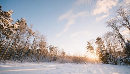 Obraz na płótnie Canvas forest cold tree sky background winter snow landscape blue nature season