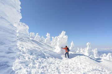 Beautiful Frozen Forest Covered With Powder Snow As Snow Monsters At Mount Zao Range, Zao Juhyo Festival, Yamagata , Japan 