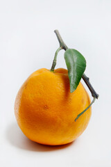 Tangerines or mandarin oranges (Citrus reticulata) are oranges that can grow in tropical and subtropical areas, randomly some are whole, some have been cut, with a white background